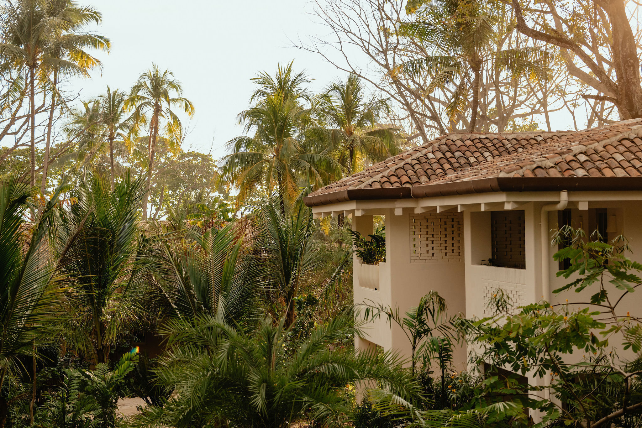 Santa Teresa in May: What to Expect and Why It’s Worth It